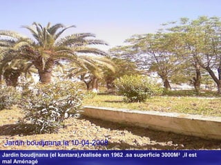 Jardin boudjnana (el kantara),réalisée en 1962 .sa superficie 3000M2
,il est
mal Aménagé
Jardin boudjnana:le 10-04-2008
 