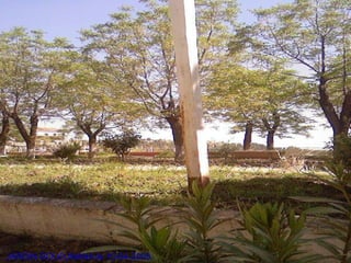 JARDIN BOUDJNANA;le 10-04-2008
 