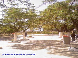 SQUARE GUESSOUM:le 10-04-2008
 
