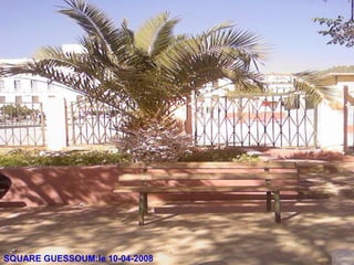 SQUARE GUESSOUM:le 10-04-2008
 