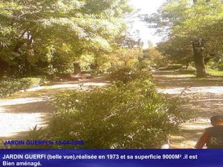 JARDIN GUERFI (belle vue),réalisée en 1973 et sa superficie 9000M2
.il est
Bien aménagé.
JARDIN GUERFI:le 10-04-2008
 
