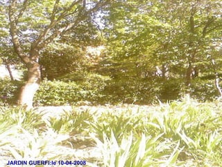JARDIN GUERFI:le 10-04-2008
 