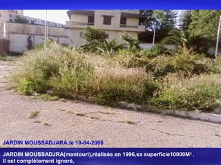 JARDIN MOUSSADJARA:le 10-04-2008
JARDIN MOUSSADJRA(mantouri),réalisée en 1996,sa superficie10000M2
.
Il est complètement ignoré,
 