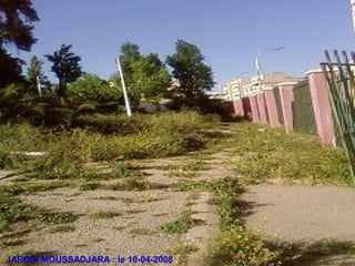 JARDIN MOUSSADJARA : le 10-04-2008
 