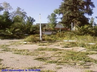 jardin moussadjara :le 10-04-2008
 