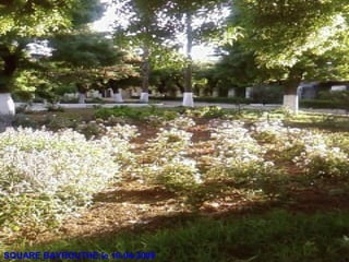 SQUARE BAYROUTHE:le 10-04-2008
 