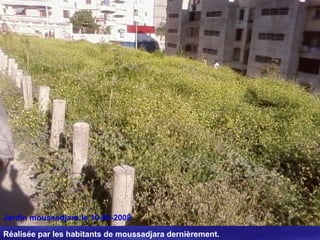 Jardin moussadjara:le 10-04-2008
Réalisée par les habitants de moussadjara dernièrement.
 
