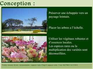 Préserver une échappée vers un
paysage lointain.
Placer les arbres a l’échelle.
Utiliser les végétaux robustes et
d’essences locales.
Les espèces rares ou la
multiplication des variétés sont
déconseillées.
Conception :
Voirie- réseaux divers - terrassements - espaces verts. Chap.4 :espaces verts. Cote: 06270011 6115/014
Olivier (arbre robuste)
Echappées.
Orchidées rares.
 