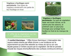 Végétaux à feuillages semi
persistants: Ces types de
végétaux conservent une partie de
leur feuillage en hiver
. Végétaux à feuillages
persistants: Ce type de végétation
reste vert toute l’année, et ne
rythme plus les saisons, et
préfèrent user un peut plus
d’énergie pour protéger leurs
feuilles du froid et du manque de
soleil.
•1 confort thermique : * Effet d’écran thermique: L’interception des
rayons solaire directs par effets d’écran à une incidence sur le
rayonnement qui peut être absorbé au niveau du sol ou sur une
façade grasse a l’ombre causée par la végétation. De fait en période
chaude les risques d’échauffements des surfaces s’entrouvre diminué
.
L’ effet de la végétation sur les:
différents conforts
 