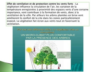 Effet de ventilation et de protection contre les vents forts : La
végétation influence la circulation de l’air, les variation de la
température enregistrées à proximité des espaces verts d’une certaine
importance, vont contribuer à la formation de vents, donc à la
ventilation de la ville. Par ailleurs les arbres plantées en brise vent
améliorent le confort de la cite dans les zones particulièrement
exposé. La végétation fait écran aux vents tout en favorisant la
ventilation.
 