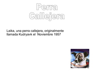 Laika, una perra callejera, originalmente
llamada Kudryavk el Noviembre 1957
 