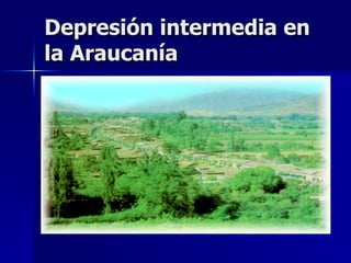 Depresión intermedia en la Araucanía 