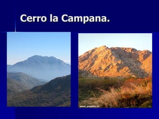 Cerro la Campana. 