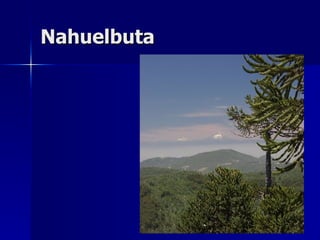 Nahuelbuta 