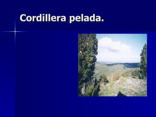 Cordillera pelada. 