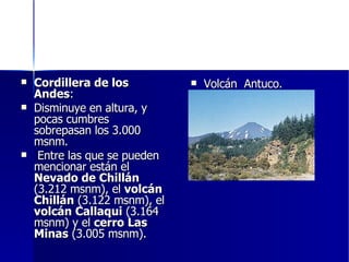 Cordillera de los Andes : Disminuye en altura, y pocas cumbres sobrepasan los 3.000 msnm. Entre las que se pueden mencionar están el  Nevado de Chillán  (3.212 msnm), el  volcán Chillán  (3.122 msnm), el  volcán Callaqui  (3.164 msnm) y el  cerro Las Minas  (3.005 msnm).  Volcán  Antuco. 