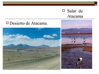 <ul><li>Salar  de  Atacama </li></ul><ul><li>Desierto de Atacama. </li></ul>