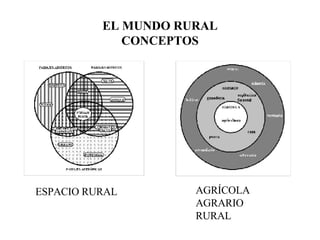 EL MUNDO RURAL CONCEPTOS ESPACIO RURAL AGRÍCOLA AGRARIO RURAL 