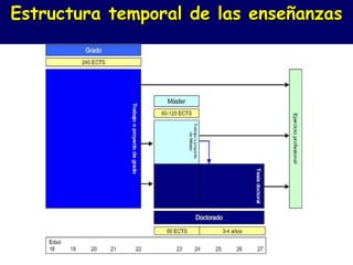 Estructura temporal de las enseñanzas 