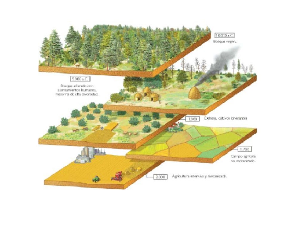 Espacio geografico