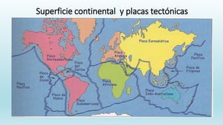Superficie continental y placas tectónicas
 