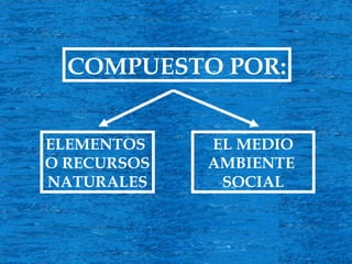 COMPUESTO POR: ELEMENTOS O RECURSOS NATURALES EL MEDIO AMBIENTE SOCIAL