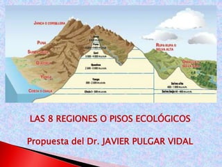 LAS 8 REGIONES O PISOS ECOLÓGICOS 
Propuesta del Dr. JAVIER PULGAR VIDAL 
 