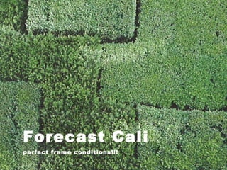 Forecast Cali
perfect frame conditions!!!
 