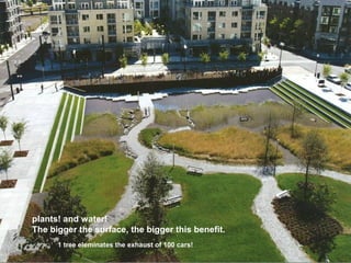 plants! and water!
The bigger the surface, the bigger this benefit.
1 tree eleminates the exhaust of 100 cars!
 