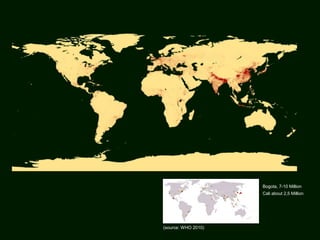 Bogota, 7-10 Million
Cali about 2,5 Million
(source: WHO 2010)
 