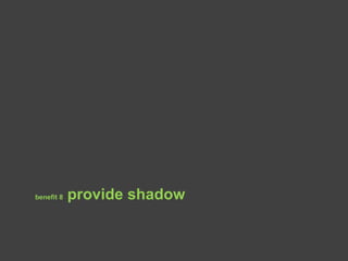 benefit 8 provide shadow
 
