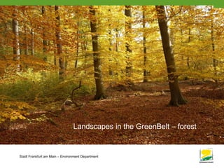 Stadt Frankfurt am Main – Environment Department
91
Landscapes in the GreenBelt – forest
 