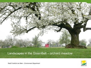 Stadt Frankfurt am Main – Environment Department
93
Landscapes in the GreenBelt – orchard meadow
 