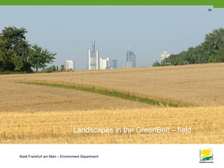 Stadt Frankfurt am Main – Environment Department
94
Landscapes in the GreenBelt – field
 