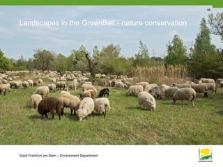 Stadt Frankfurt am Main – Environment Department
95
Landscapes in the GreenBelt - nature conservation
 