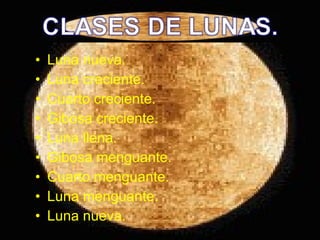 Luna nueva. Luna creciente. Cuarto creciente. Gibosa creciente. Luna llena. Gibosa menguante. Cuarto menguante. Luna menguante. Luna nueva. 