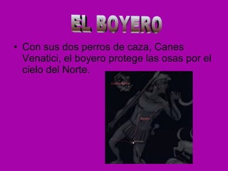 Con sus dos perros de caza, Canes Venatici, el boyero protege las osas por el cielo del Norte. EL BOYERO 