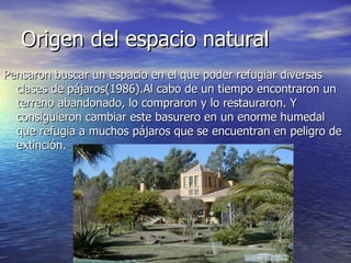 Origen del espacio natural Pensaron buscar un espacio en el que poder refugiar diversas clases de pájaros(1986).Al cabo de un tiempo encontraron un terreno abandonado, lo compraron y lo restauraron. Y consiguieron cambiar este basurero en un enorme humedal que refugia a muchos pájaros que se encuentran en peligro de extinción. 