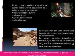 El ser humano acelera la pérdida de
         suelos fértiles por la destrucción de la
         cubierta vegetal, producto de:
         • malas técnicas de cultivo
         • sobrepastoreo
         • quema de vegetación
         • tala del bosque




                                         La degradación del suelo reviste gran
                                         importancia, porque su regeneración es
                                         en extremo lenta.
                                         En zonas agrícolas tropicales y
                                         templadas, se requiere de un promedio
                                         de 500 años para la renovación de 2,5
                                         centímetros de suelo.

Además de afectar y alterar los ecosistemas, afecta seriamente a la gente y a la
                            economía de un lugar.
 