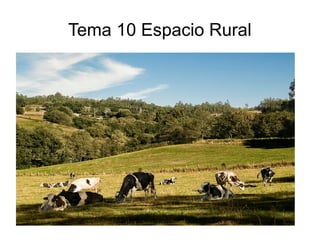 Tema 10 Espacio Rural
 