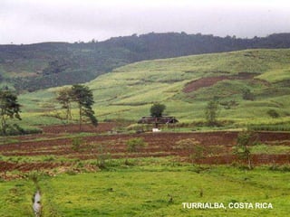 TURRIALBA, COSTA RICA
 