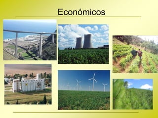 Económicos
 