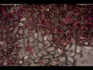 Espacios abiertos Alejandra Lara