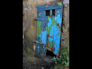 Espacios abiertos Alejandra Lara