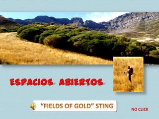 ESPACIOS  ABIERTOS “FIELDS OF GOLD” STING NO CLICK 