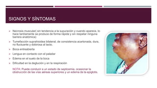 SIGNOS Y SÍNTOMAS
 Necrosis muscular( sin tendencia a la supuración y cuando aparece, lo
hace tardíamente se produce de forma rápida y sin respetar ninguna
barrera anatómica)
 Tumefacción suprahioidea bilateral, de consistencia acartonada, dura,
no fluctuante y dolorosa al tacto.
 Boca entreabierta
 Lengua en contacto con el paladar
 Edema en el suelo de la boca
 Dificultad en la deglución y en la respiración
NOTA: Puede conducir a un estado de septicemia, ocasionar la
obstrucción de las vías aéreas superiores y un edema de la epiglotis.
 