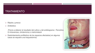 TRATAMIENTO
 Rápido y precoz
 Antibiótico
-Previo a obtener el resultado del cultivo y del antibiograma : Penicilina
G intravenosa, clindamicina o metronidazol
 Desbridamiento profiláctico de los espacios afectados( en algunos
casos se requiere una traqueotomía)
 