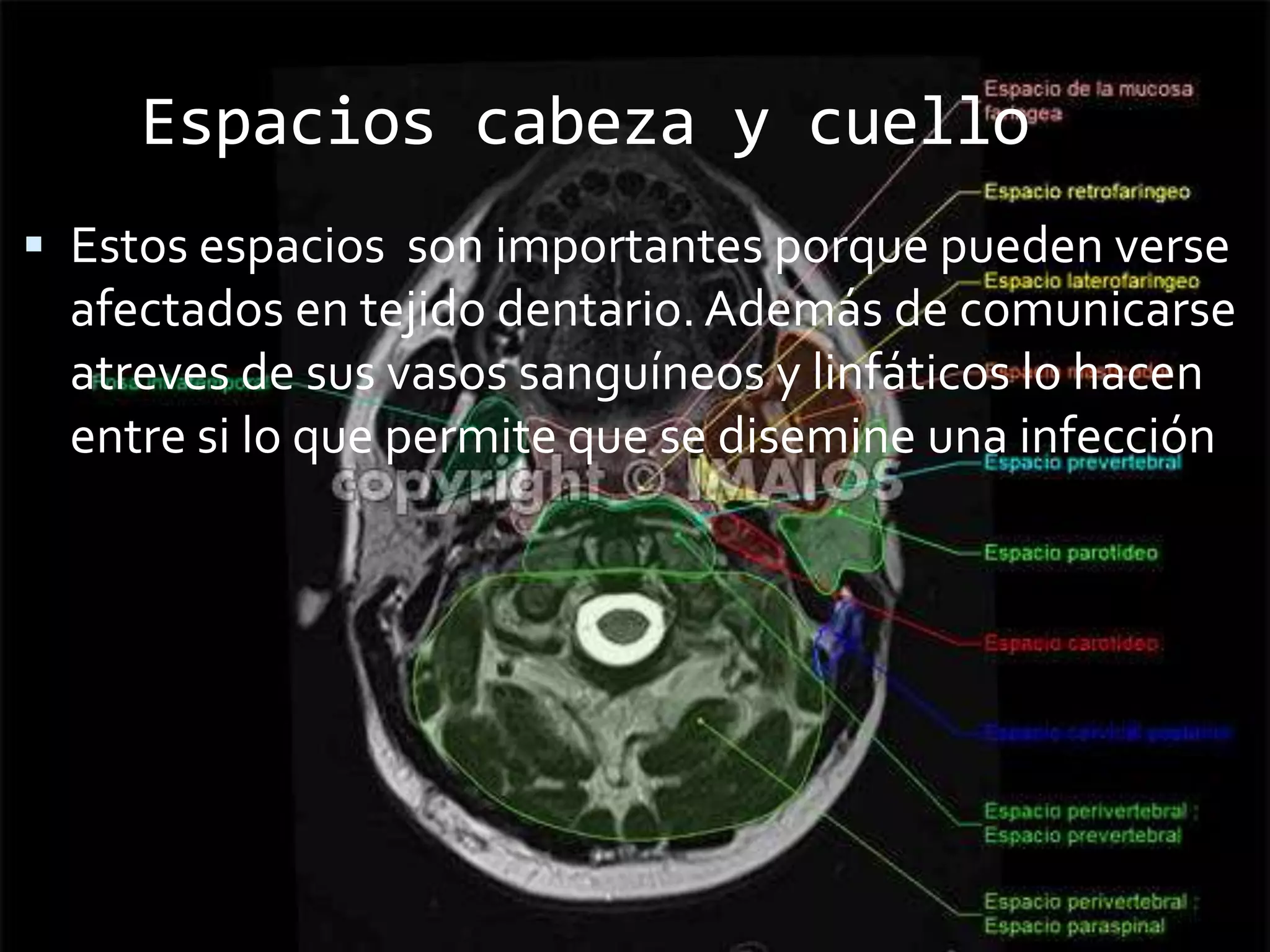 Espacios aponeuróticos | PPTX