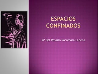 Mª Del Rosario Rocamora Lapeña
 