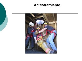 Adiestramiento
 